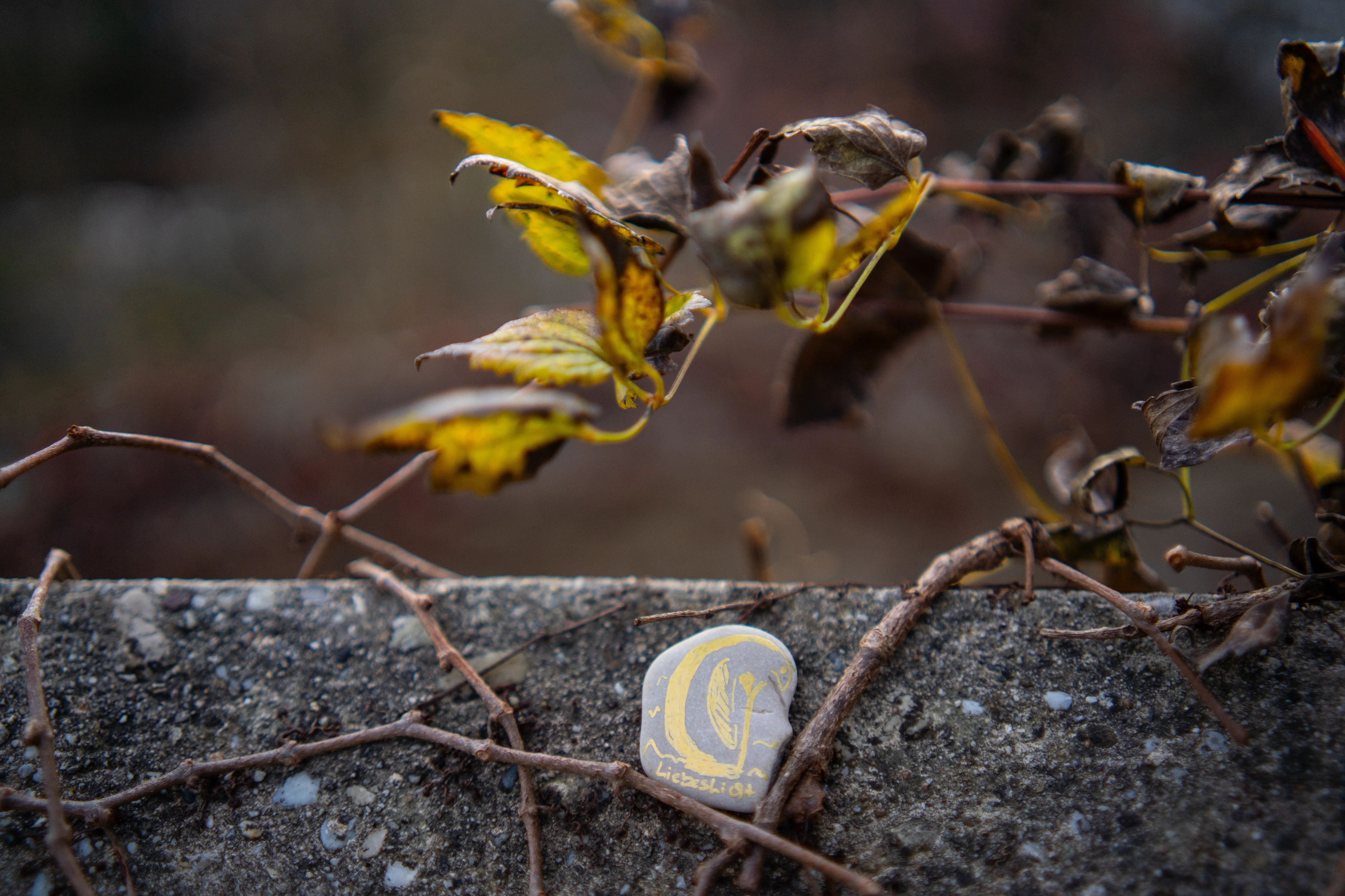 Lieblingslicht Stein