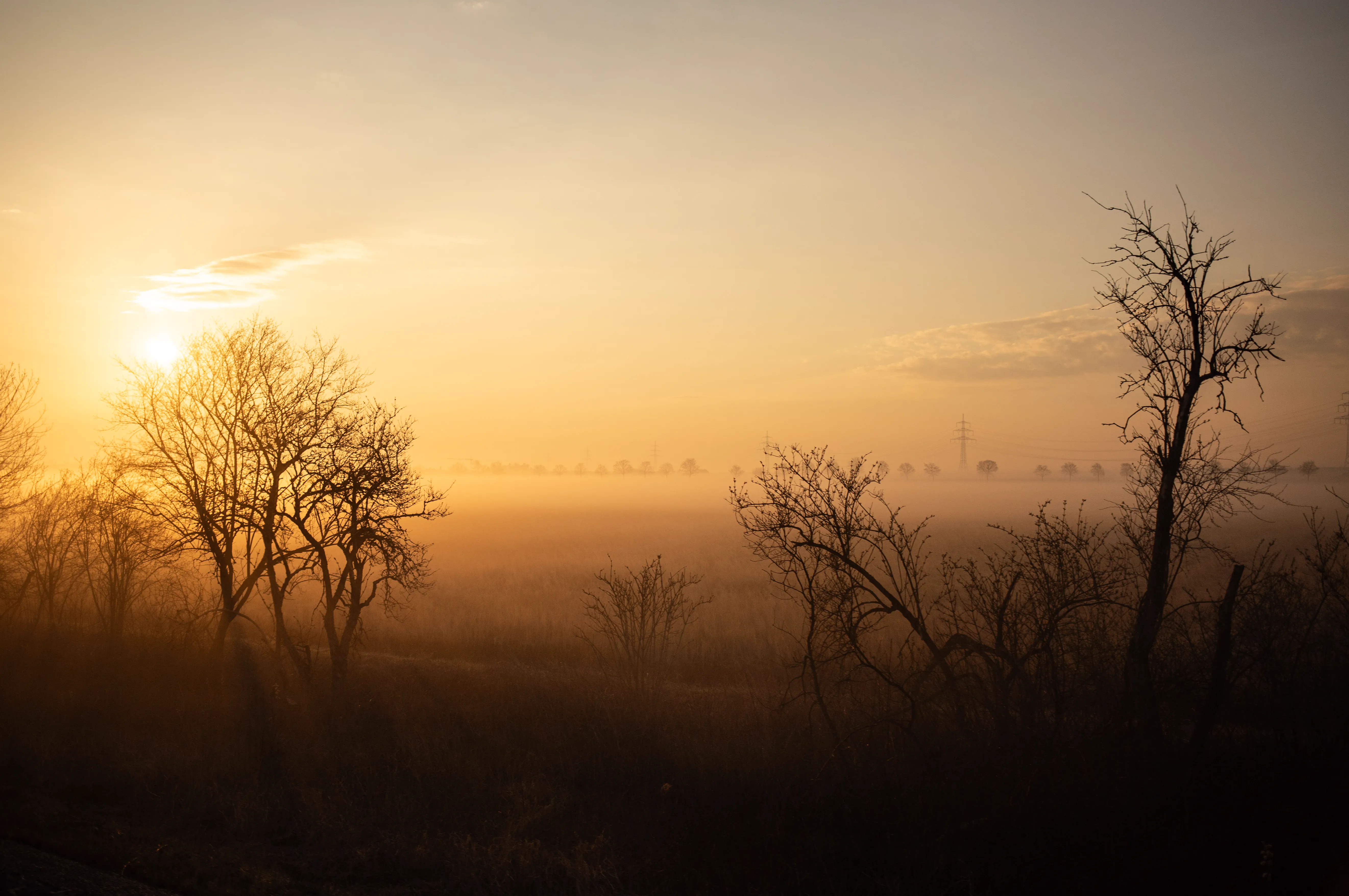 S-Bahn im Bodennebel