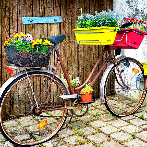Blumenbike